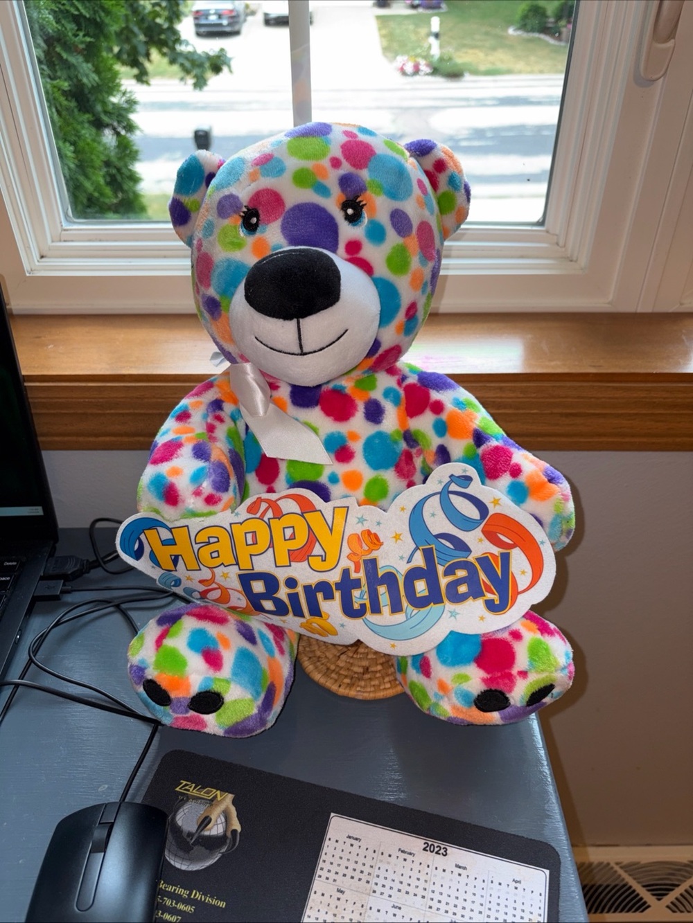 Bear happy birthday Multicolor Polka Dot Plush Bear - Rainbow Dots